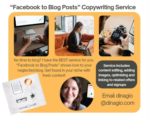 Summer Copywriting Service: Facebook to Website