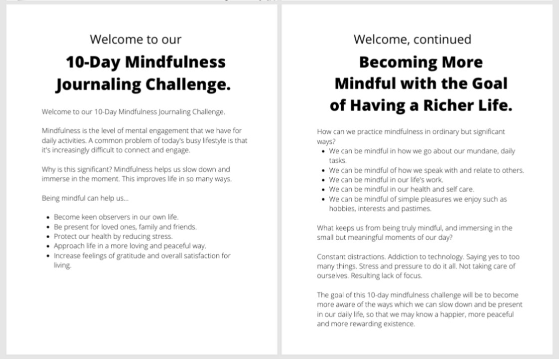 Mindfulness Challenge Course-Writing Sample 2