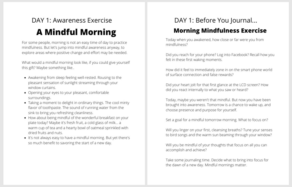 Mindfulness Challenge Course-Writing Sample 3