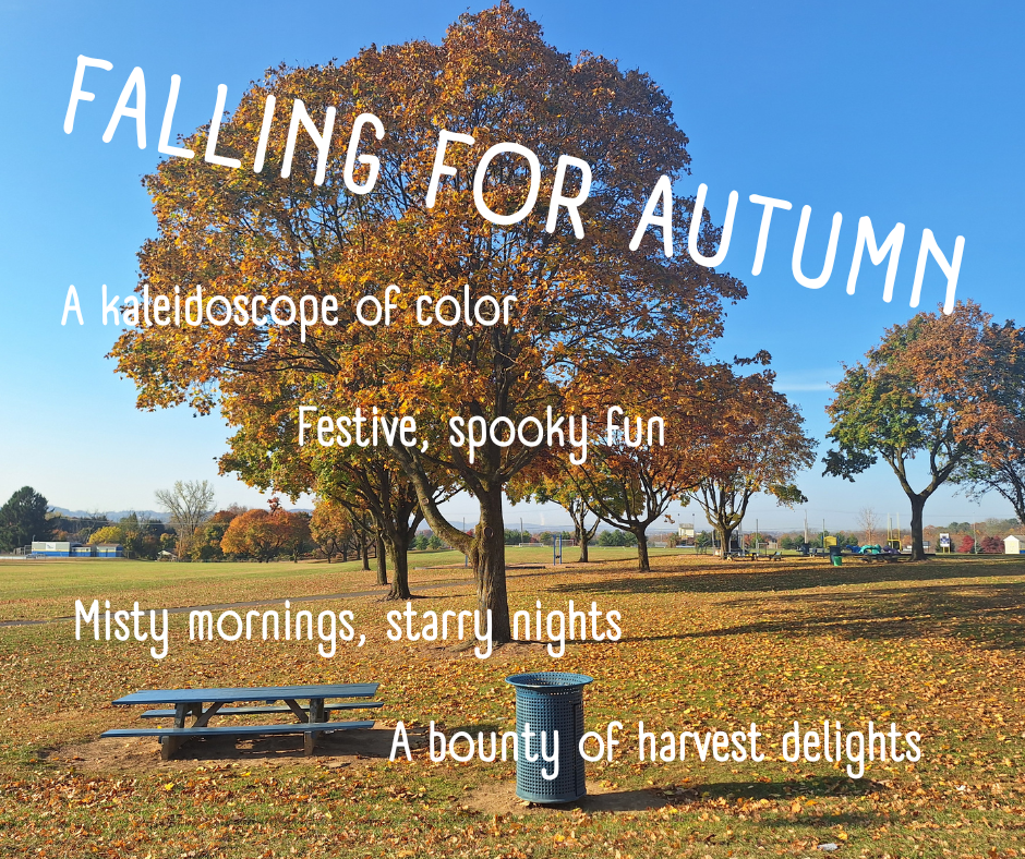 Autumn Graphic for Social Media Canva Sample