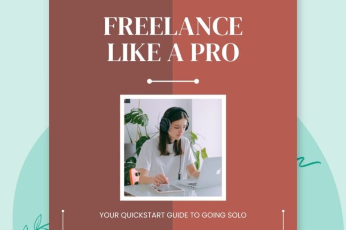 Freelance Like a Pro Kit from Lynette Chandler – with PLR Right to Resell