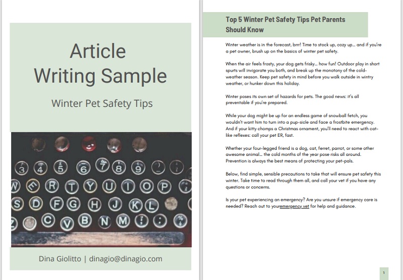 Petcare Article Writing Sample on Pet Safety 1