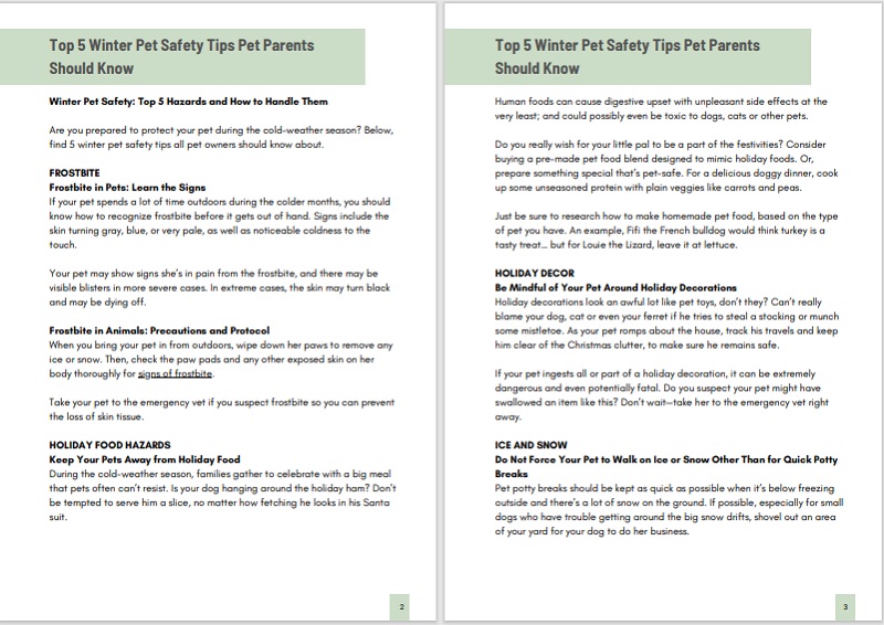 Petcare Article Writing Sample 2 Pet Safety